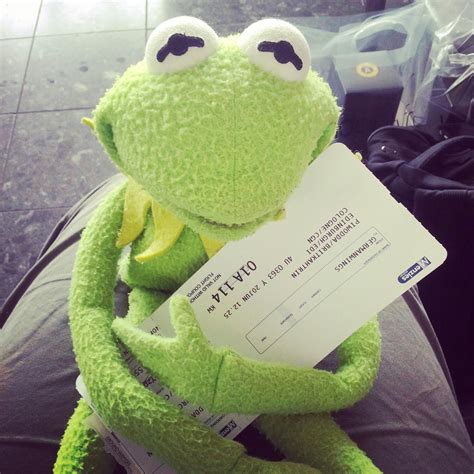 Kermit On Tourmeine Kleine Weltreise The Frog Has Left Scotland