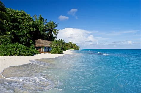 Hd Wallpaper Seashore Sand Tropics Palm Trees Hut The Maldives