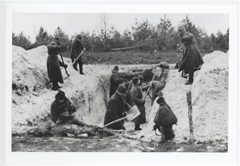 The Pow Camp 1940 1945