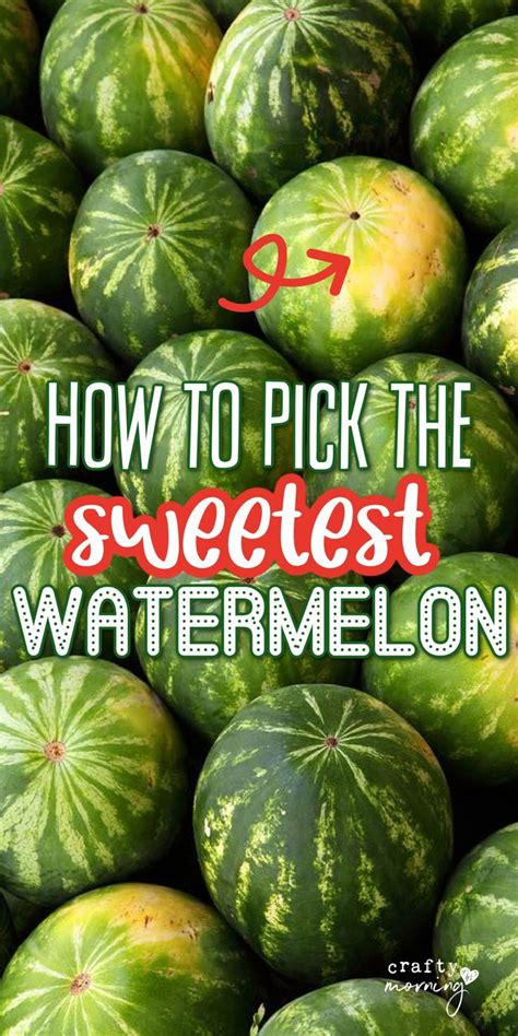 How To Pick The Sweetest Watermelon Every Single Time Artofit