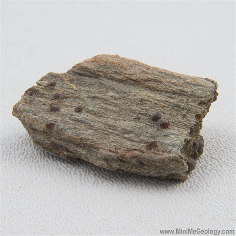 Garnet Schist Metamorphic Rock Mini Me Geology