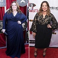 Melissa McCarthy's Weight Loss — Inside How She Shed 75 Pounds!
