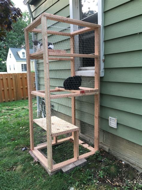 How To Make An Outdoor Cat Playground Diy Cuteness
