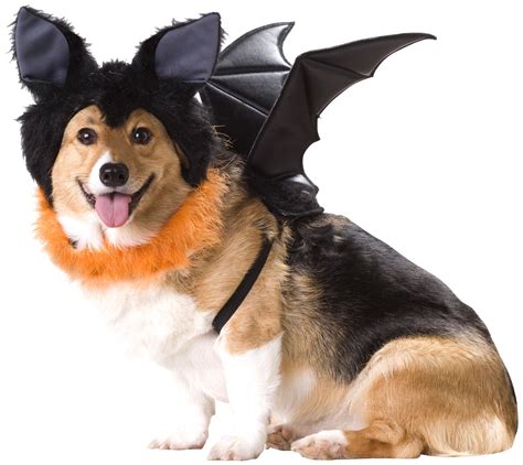 20 Absolutely Amazing Dog Halloween Costumes