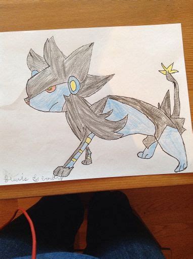 Luxray Drawing Pokémon Amino
