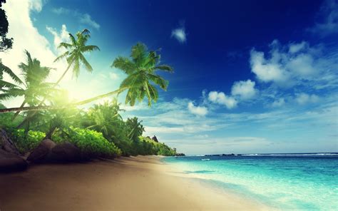 wallpaper sunlight sea bay nature shore sand sky beach morning coast palm trees