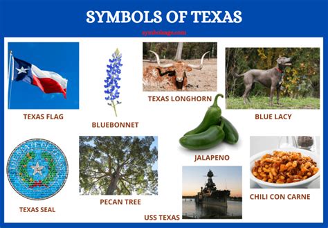 Texas State Symbols And Their Meanings Symbol Sage