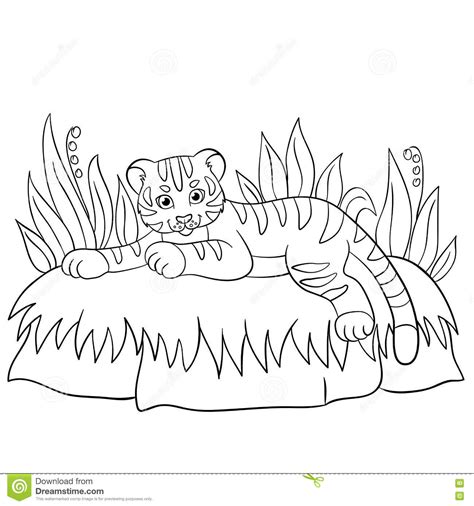 Coloriage Bébé Tigre