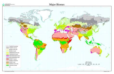 I Biomi Carta Geografica In Inglese Ecosistemi Biomes Deserts