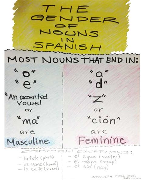 How To Know If A Word Is Masculine Or Feminine In Spanish Differentiate The Gender Of Singular