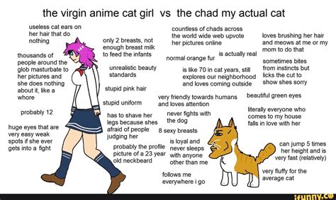 The Virgin Anime Cat Girl Vs The Chad My Actual Cat Countless Of Chads Across The World Wide Web