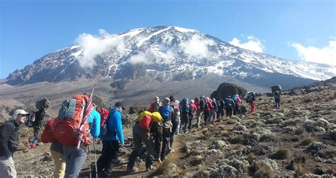 Kilimanjaro Climb Lemosho Route 8 Days By Kilimanjaro Wonders