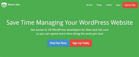 10 Best Wordpress Maintenance Services 2023