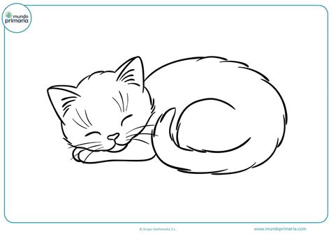 Dibujos De Gatos Bonitos Gatos Y Gatitos Para Colorear Y Pintar Sexiz Pix