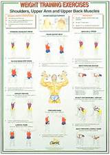 Images of Weight Lifting Exercises For Back
