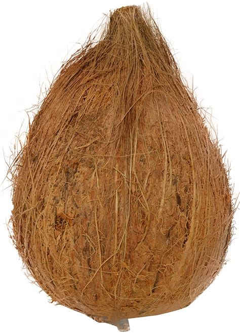 Fresh Produce Coconut 1 Piece 450g Grocery And Gourmet Foods