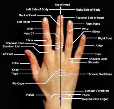 The 25 Best Hand Massage Ideas On Pinterest Hand Reflexology Reflexology Massage Near Me And