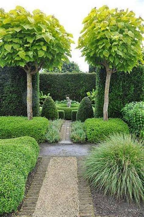 Best Trees For Small Gardens