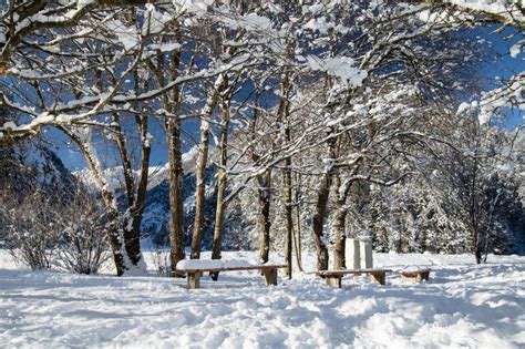Beautiful Snowy Park With Bench In Winter Season Stock Photo Image Of