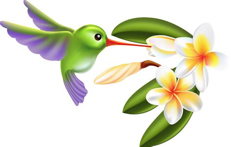 Linklok Url Bird Illustration Hummingbird Illustration Bird Clipart