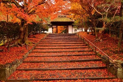 京都ブライトンホテルの『貸切紅葉プラン』で秋の極上 京都旅を堪能。 Discover Japan ディスカバー・ジャパン