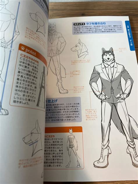 How To Draw Furry Characters Poses Kemono Manga Guide Japan Etsy Hong