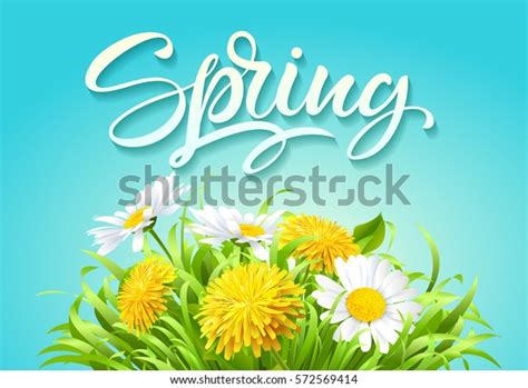 Inscription Spring Time On Background Spring Stock Vector Royalty Free