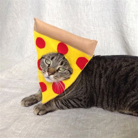 Purrfect Halloween Costumes For Your Cat
