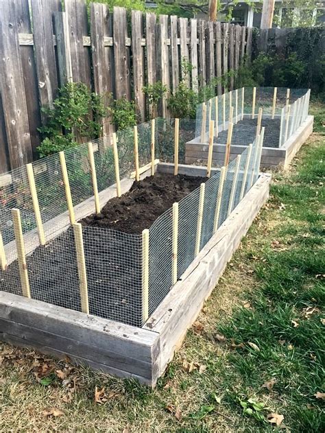 Diy Fence For Raised Garden Beds Diy Garden Fence Fenced Vegetable