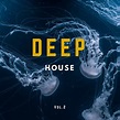 Álbum Deep House Music Compilation, Vol. 2, Various Interprets | Qobuz ...