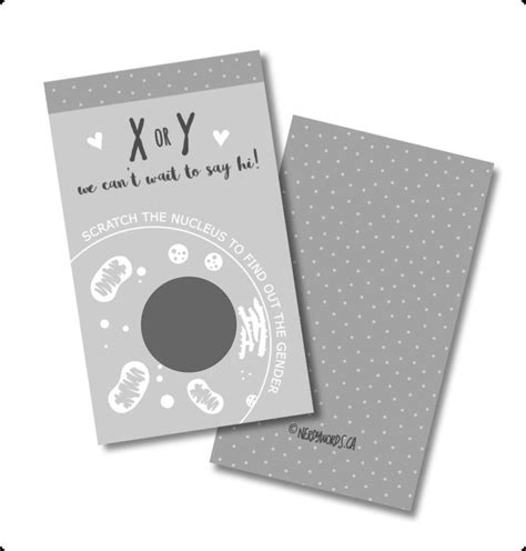 xy or xx gender sex reveal scratch off cards pack of 12 etsy