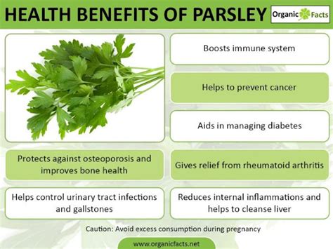 Rainbowdiary Health Benefits Of Parsley