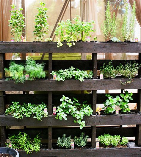 22 Awesome Diy Vertical Garden Ideas That Will Refresh