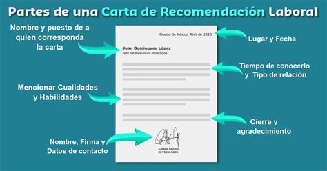 Cómo Redactar Una Carta De Recomendación Guía Práctica