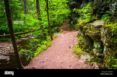 Trail Along A Stream At Ricketts Glen State Park Pennsylvania Stock