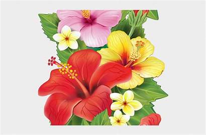 Moana Clipart Flower Tropical Flowers Transparent Jing