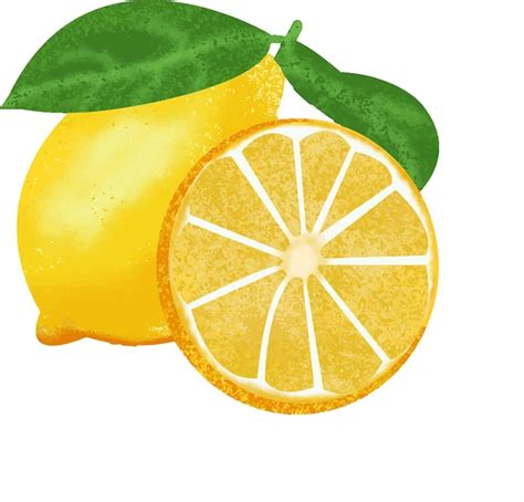 Premium Vector Hand Drawn Lemon Fruit Watercolor