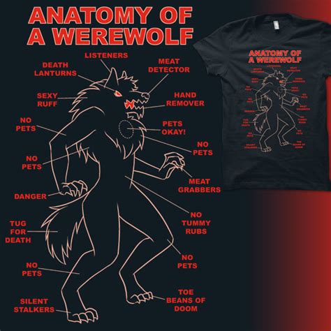 Anatomy Of A Werewolf By Amegoddess On Deviantart