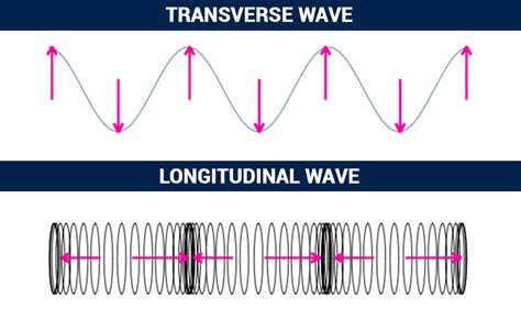 Differences Between Transverse And Longitudinal Waves Overall Science
