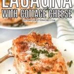 classic  boil lasagna  cottage cheese recipe