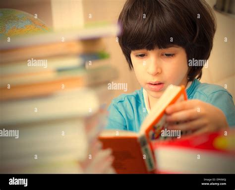 Boy Reading A Book Stock Photo Alamy