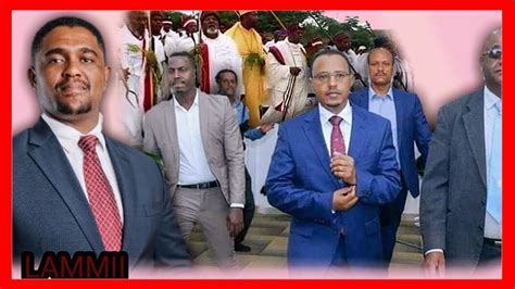 Oromo Newsetv Oduu Afaan Oromoo Youtube