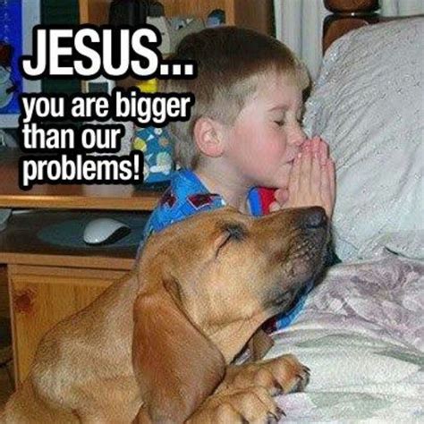Pin By Patty Eckman On Church Dog Praying Funny Dogs Cute Puppies