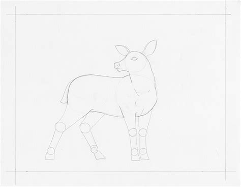 Learn How To Draw A Deer In This Step By Step Tutorial