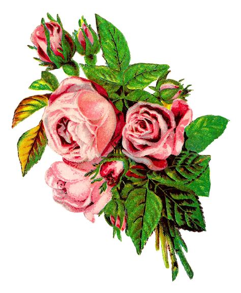 Antique Images Vintage Shabby Chic Pink Rose Clip Art Image Grunge