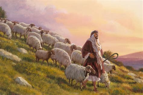 On Shepherds And The Sheep That Dont Appreciate Them North Heights