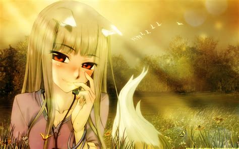 Spice And Wolf Animal Ears Holo The Wise Wolf Anime Girls