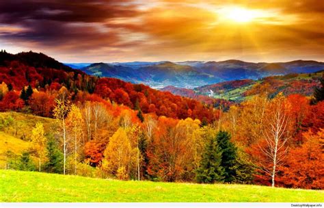 Fall Scenery Wallpapers Top Hình Ảnh Đẹp