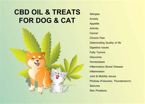 Cbd dog treats cbd dog treats are delicious formulated dog treats with cbd oil designed to help deliver cbd to your pet and activate their endocannabinoid system. CBD Oil for Cats: Let's Take A Look At 7 Potential Health ...