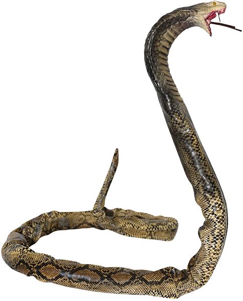 Realistic Poseable Fake King Cobra Snake Scary Cosplay Halloween Prop